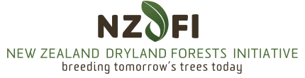 NZ Dryland Forests Initiative