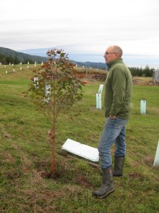 Roger with 2-yr old E globoidea (2013 plantings) 