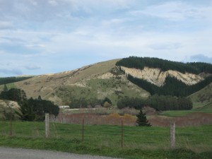 The site pre-planting, located directly behind the farm house.