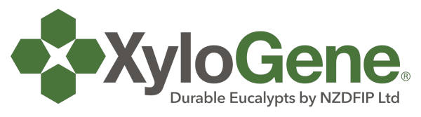 Xylogene Logo