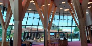 Markets and tree breeding for short-rotation durable eucalypts