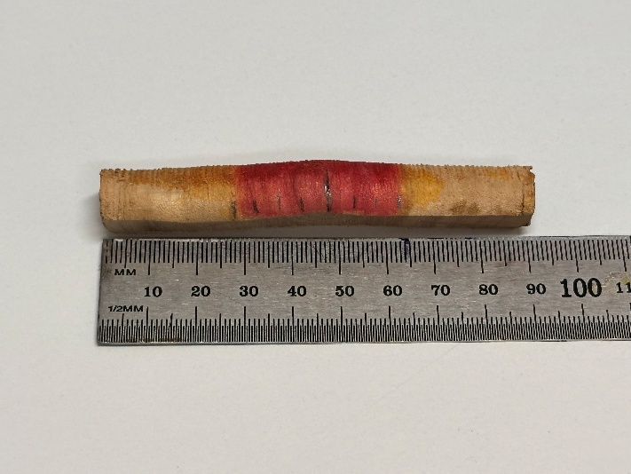 Figure 2. Staining the core reveals the heartwood zone in pink