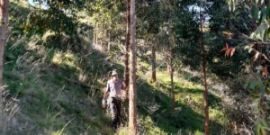 Project Update July 2025 – June 2026